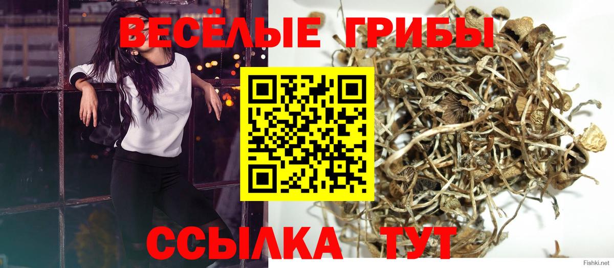 Галлюциногенные грибы Cubensis  Галлюциногенные грибы прущие грибы  Вход с VPN  Нововоронеж 