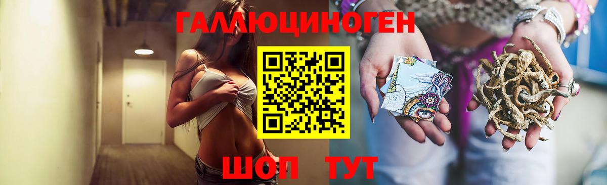 Галлюциногенные грибы GOLDEN TEACHER Нововоронеж
